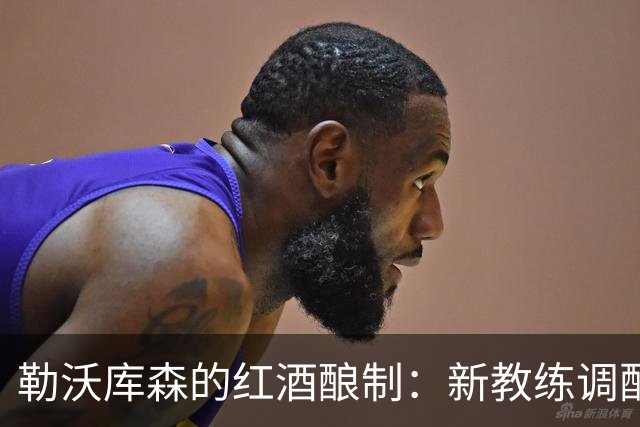 勒沃库森的红酒酿制：新教练调配出美味棋局