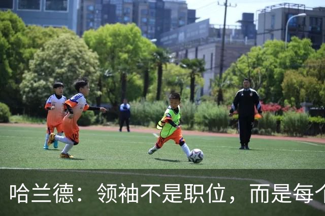 哈兰德：领袖不是职位，而是每个人的超级能力！