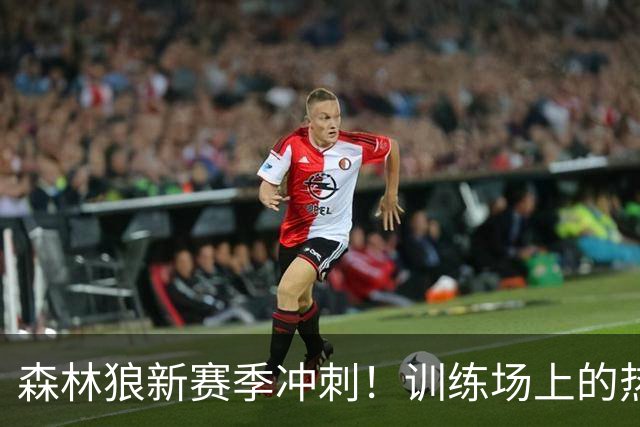 森林狼新赛季冲刺！训练场上的热血对决