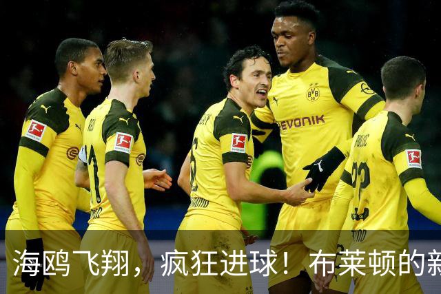 海鸥飞翔，疯狂进球！布莱顿的新赛季简直如同开挂