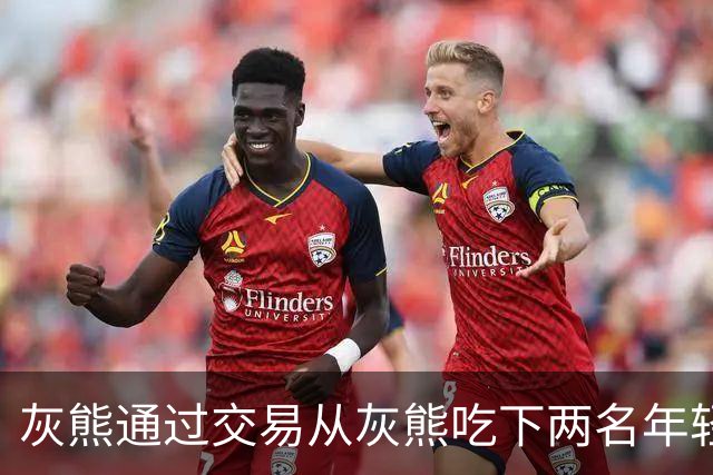 灰熊通过交易从灰熊吃下两名年轻球员，他们能否成功留队呢？